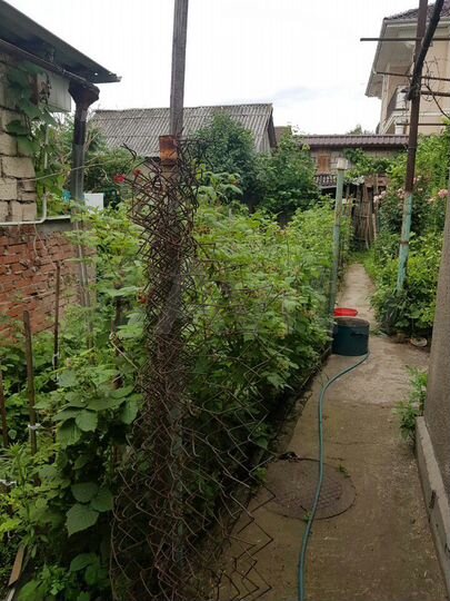 Дом 50 м² на участке 4 сот.