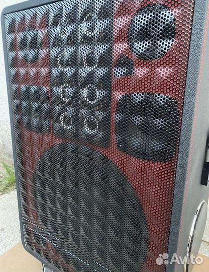 Комбоусилитель караоке с монитором