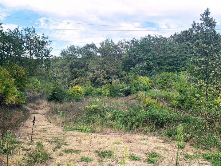 Участок 5,9 сот. (СНТ, ДНП)