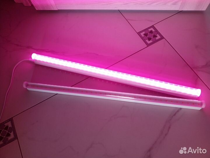 Фитолампа для растений