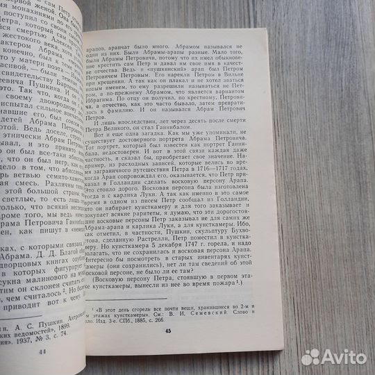 Абрам Петрович Ганнибал прадед Пушкина. Фейнберг