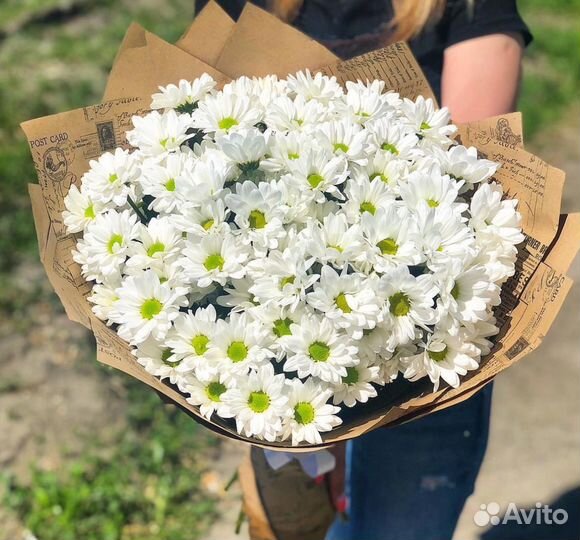 Букет хризантемы с ромашкой