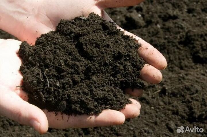 Чернозем, плодородный гр., коровий навоз, курьяк