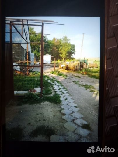 Животноводческая ферма продаю