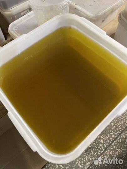 Свежий мед с Алтая оптом