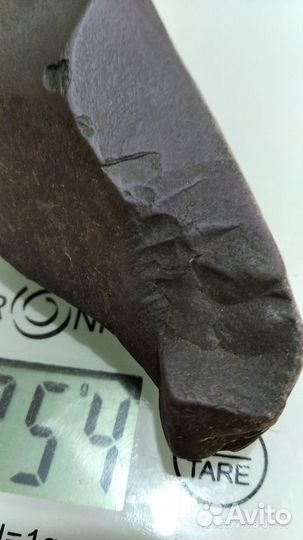 Райниевый черт. Плаун Asteroxylon mackiei