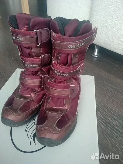 Сапожки geox зимние