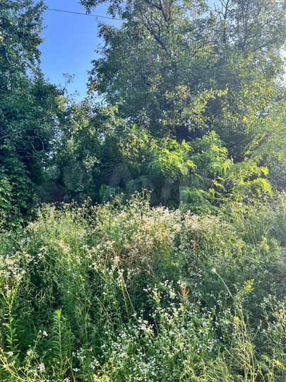 Участок 25 сот. (ИЖС)