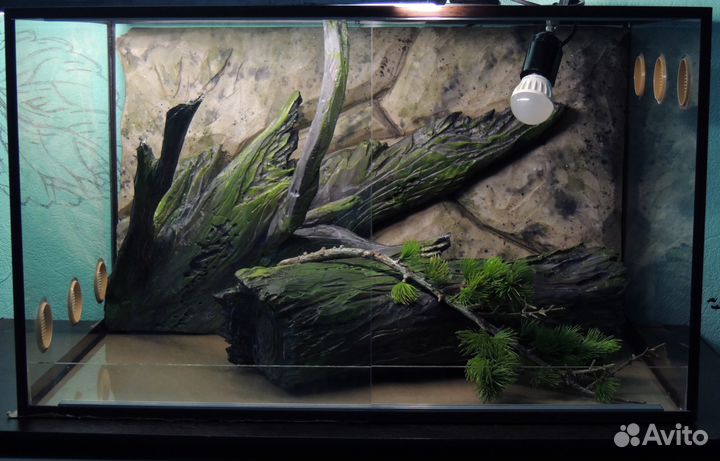 Террариум для бородатой агамы