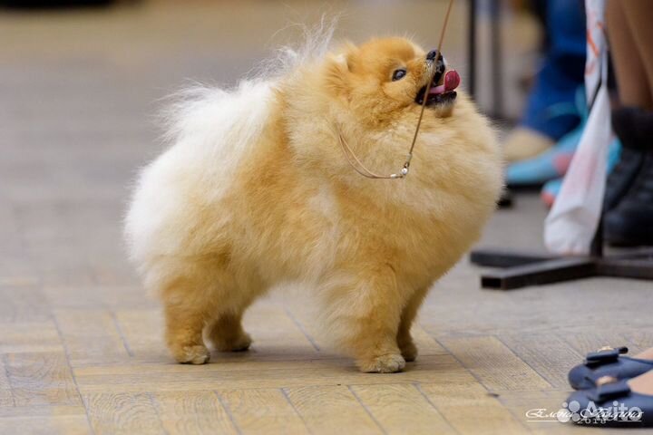 Открыт для вязок