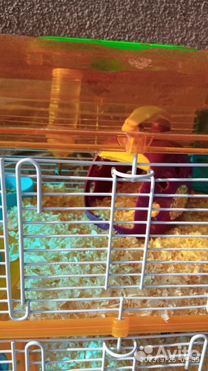 Клетка для грызунов большая