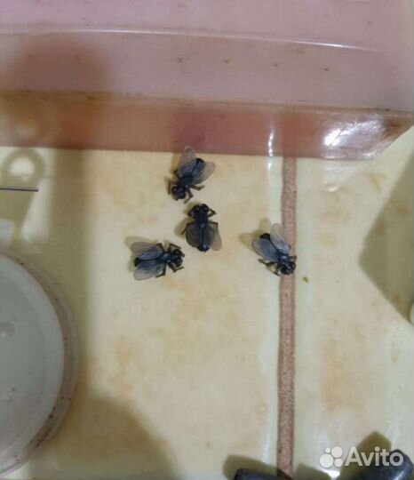 Рыболовные принадлежности из СССР