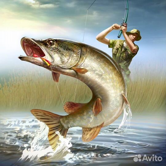 Рыбалка в Дельте