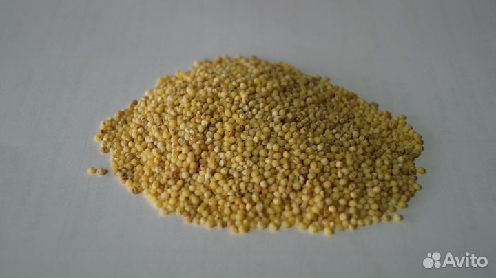Пшено Несортовое