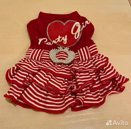 Одежда для маленьких пород собак