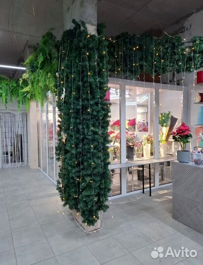 Холодильная камера для цветов под ключ