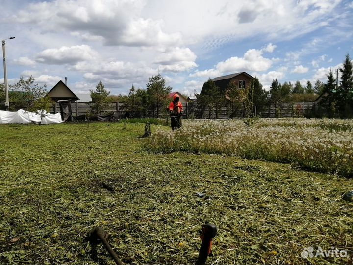 Покос травы газона газонокосилкой