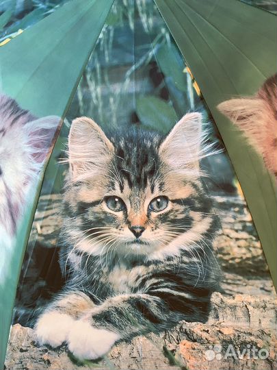 Зонт с котятами