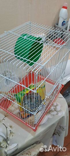 Клетка для грызунов большая