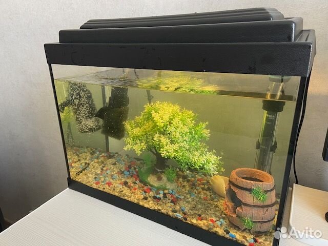 Продается аквариум