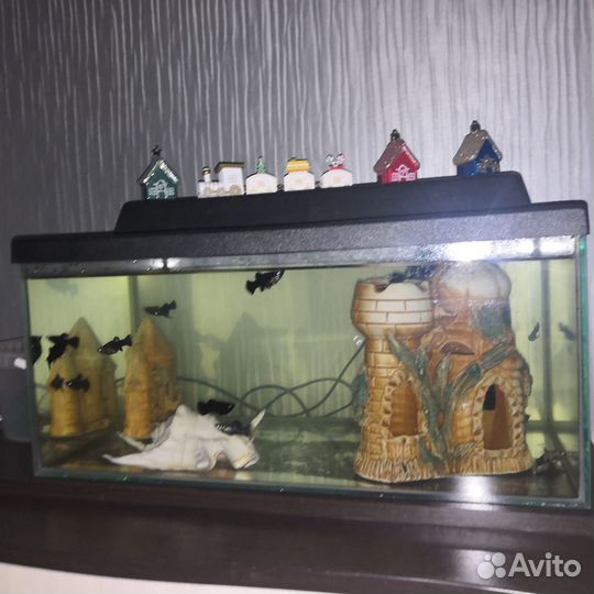 Аквариум