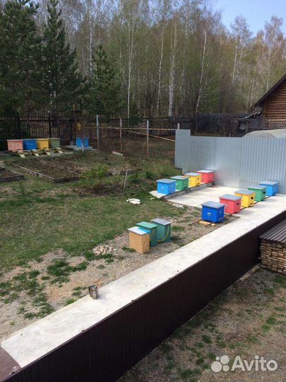 Правильный мед пчелиный