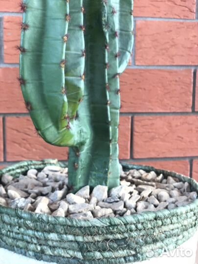 Кактус искусственный
