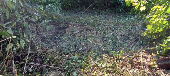 Участок 40 сот. (ИЖС)