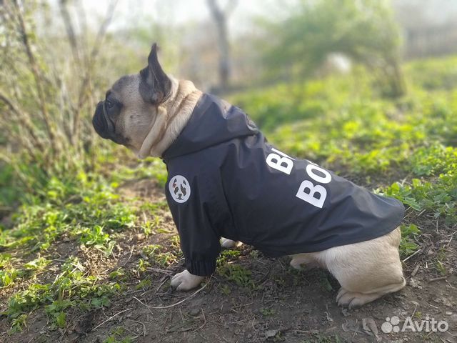 Куртка-дождевик для собак