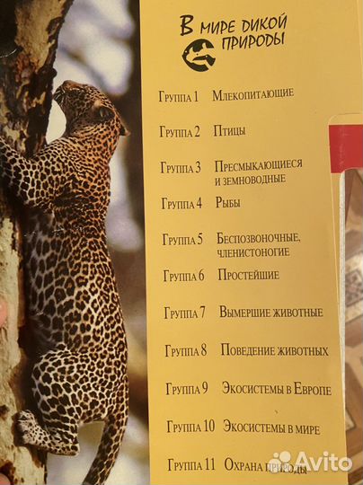 Книга про животных