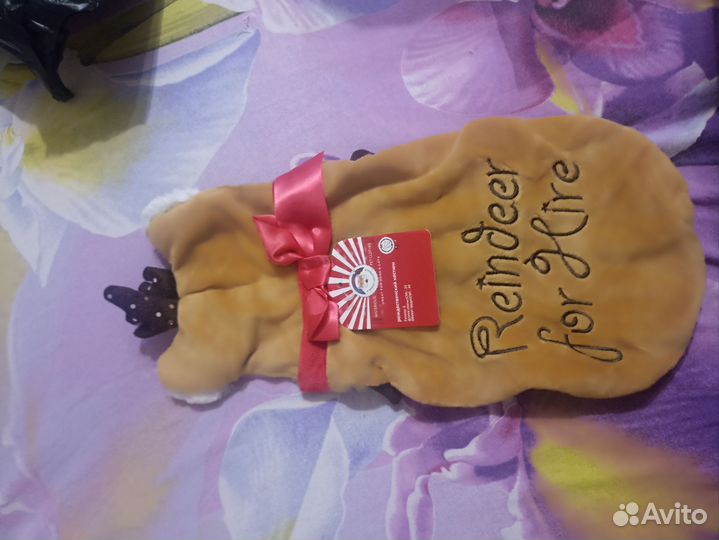 Костюм для собаки