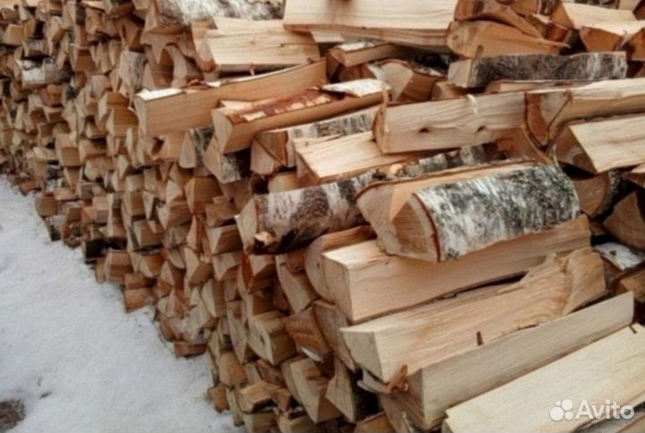 Дрова береза