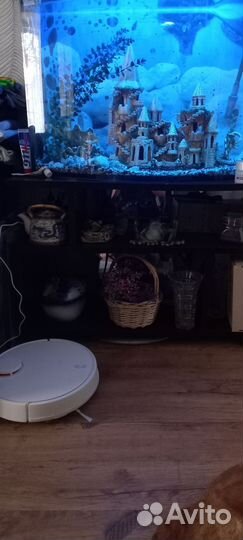 Аквариум