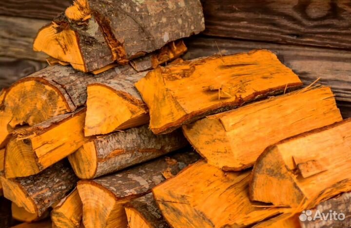 Дрова березка