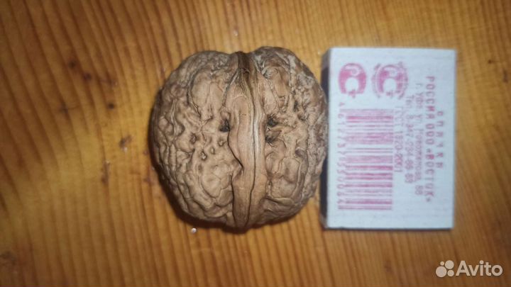 Грецкий орех гигант