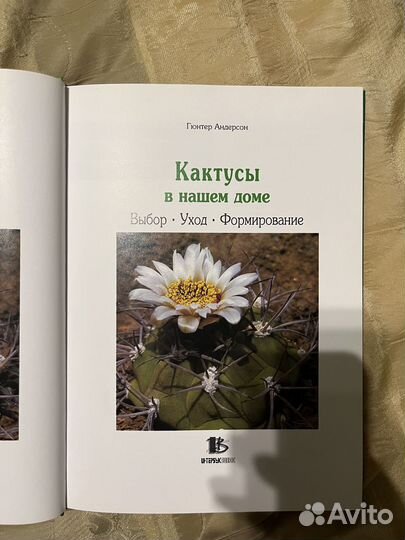 Книга Кактусы в нашем доме