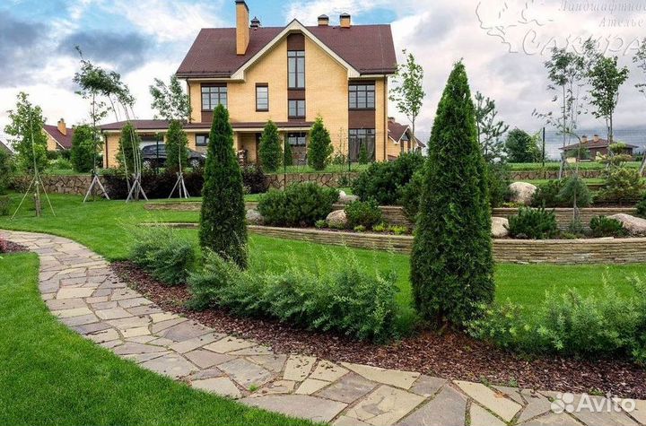 Туи колумна