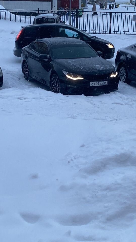 Kia Optima: фото владельца