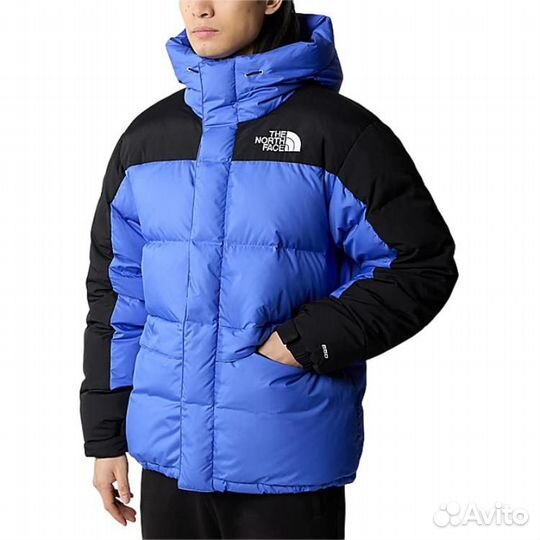 THE north face Urban Exploration Down Jacket Men Blue (M)(32)