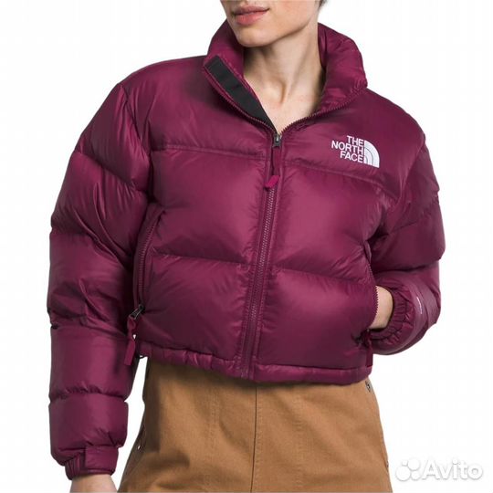 THE north face Nuptse Jacket Women's Plum (M)(44)