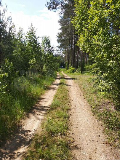 Участок 44,5 сот. (ИЖС)