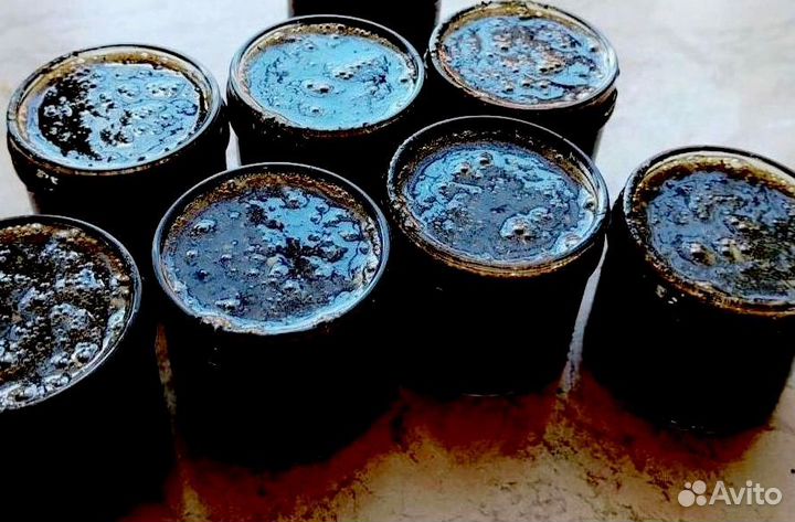 Медовое возбуждающее средство для мужчин