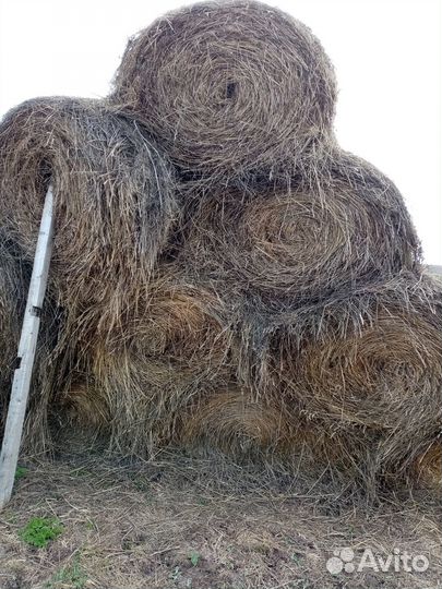 Сено рулоны