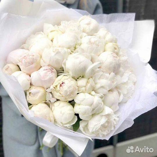 Пионы белые