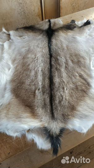 Выделка шкур коз, овец, баранов качественно