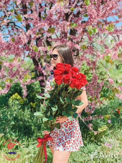 Розы метровые с доставкой