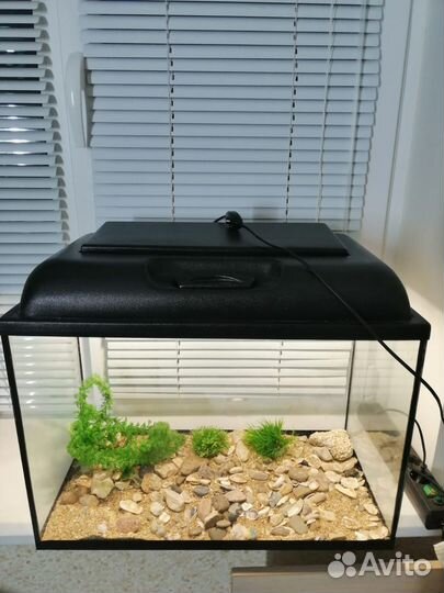 Аквариум на 60 литров с аксессуарами