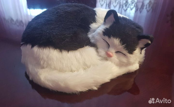 Кошка-милашка