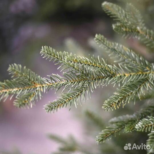 Елка искусственная литая