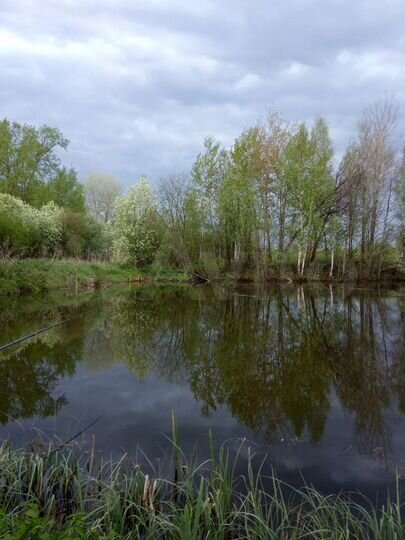 Участок 12 сот. (СНТ, ДНП)